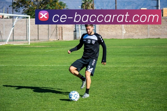 百家乐官网的管理团队具备广泛的国际经验，制定全球战略。百家乐平台百家乐集团官网平台生态图