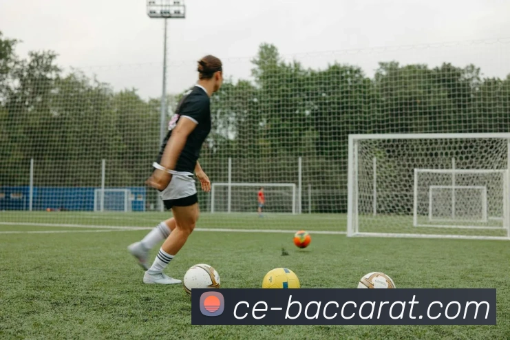 百家乐官网的管理团队具备广泛的国际经验，制定全球战略。百家乐平台百家乐集团官网APP 封面图